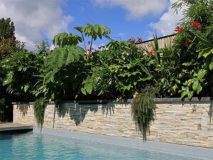 Vue 3D d’un aménagement paysager Cita Verdi avec piscine, mur en pierres naturelles et massif de plantes exotiques.