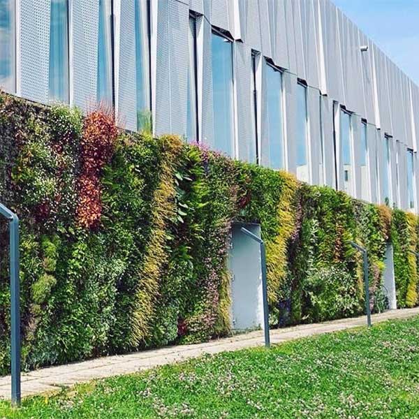 Mur végétal extérieur réalisé par Cita Verdi, façade végétalisée moderne alliant design et biodiversité.