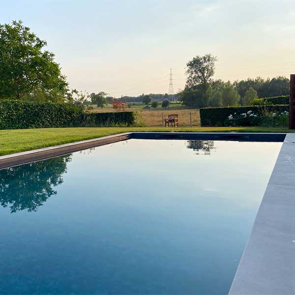 Piscine contemporaine entourée de pelouse et haies, intégrée dans un jardin paysager ouvert sur la nature