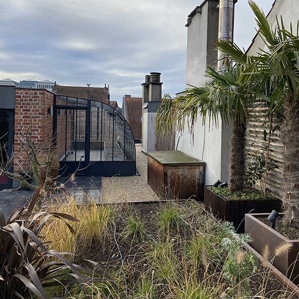 Aménagement d’un rooftop à Bruxelles par Cita Verdi, avec végétation, palmiers et terrasse contemporaine à débordement.