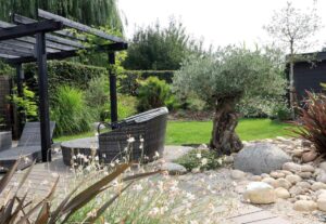 Jardin paysager avec olivier centenaire et pergola en bois noir