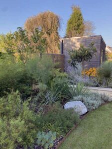 Jardin paysager avec cabanon en bois et végétation dense