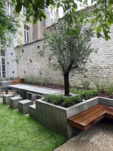 Aménagement d’une cour urbaine avec olivier et banquettes en bois