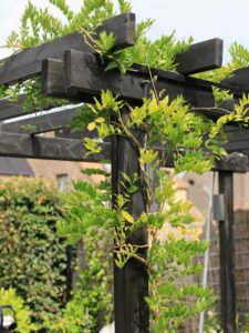 Pergola en bois foncé avec glycines grimpantes dans un jardin paysager