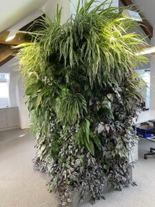 Mur végétal imposant au cœur d’un bureau sous combles