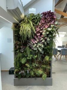 Mur végétal intérieur mêlant feuillages verts et pourpres