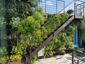 Mur végétal orné de plantes grimpantes sous un escalier métallique