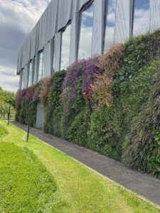 Mur végétal coloré sur la façade d’un bâtiment contemporain