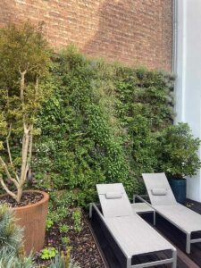 Mur végétal extérieur avec transats sur terrasse bois