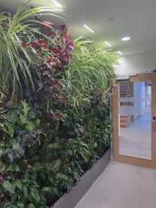 Mur végétal intérieur éclairé par des spots LED