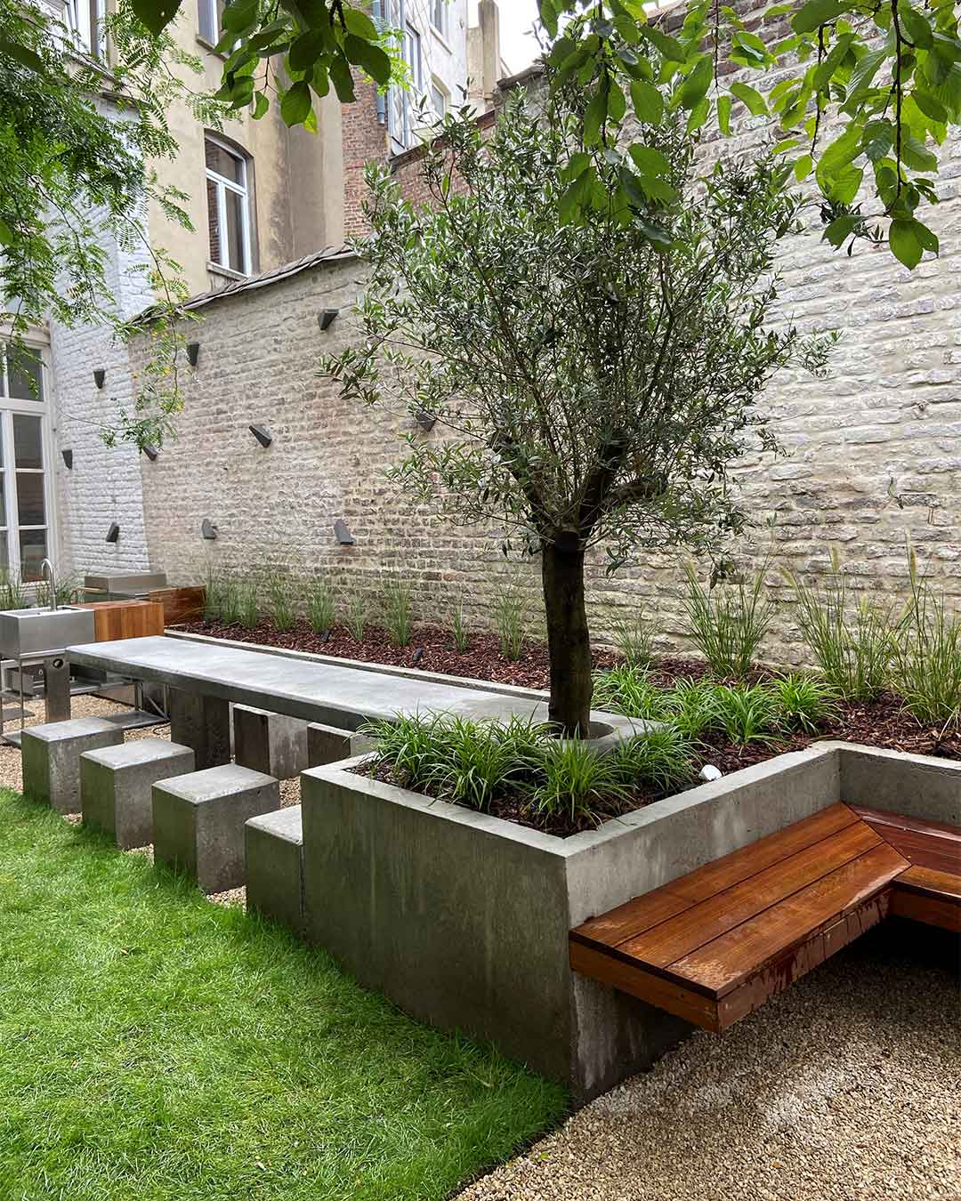 Aménagement d’un jardin urbain avec banc en bois intégré, table en béton et olivier central.