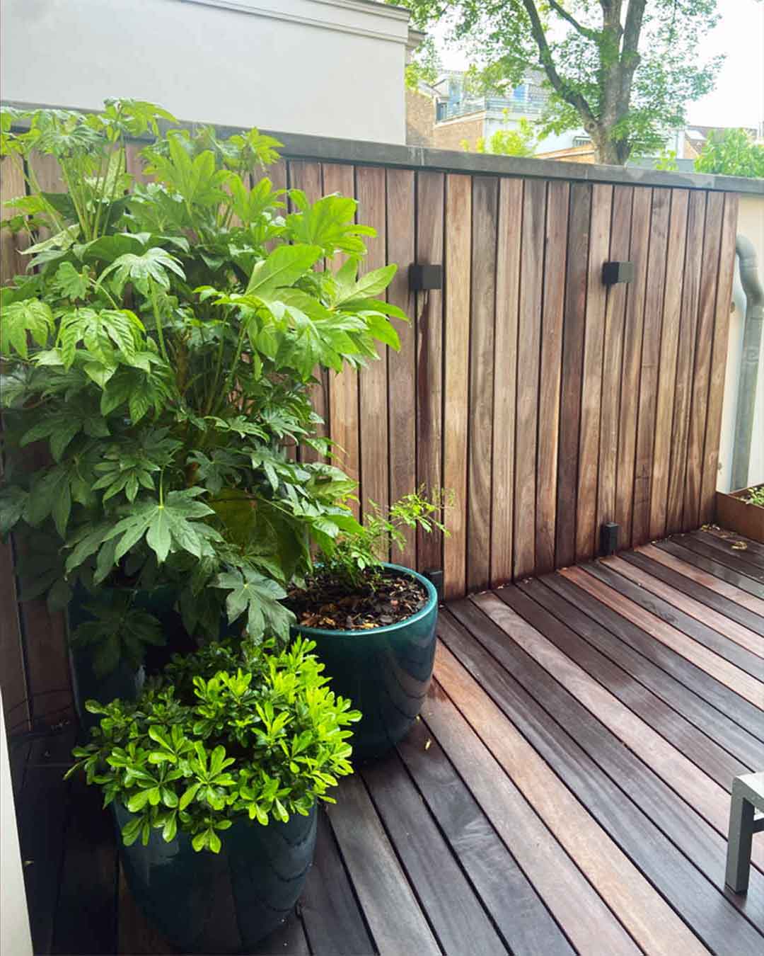 Terrasse extérieure en bois avec palissade verticale et plantes en pot