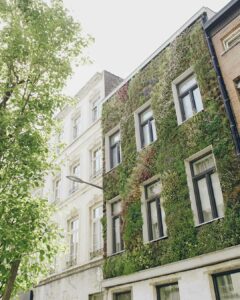 Mur végétal sur la façade d’un immeuble en ville