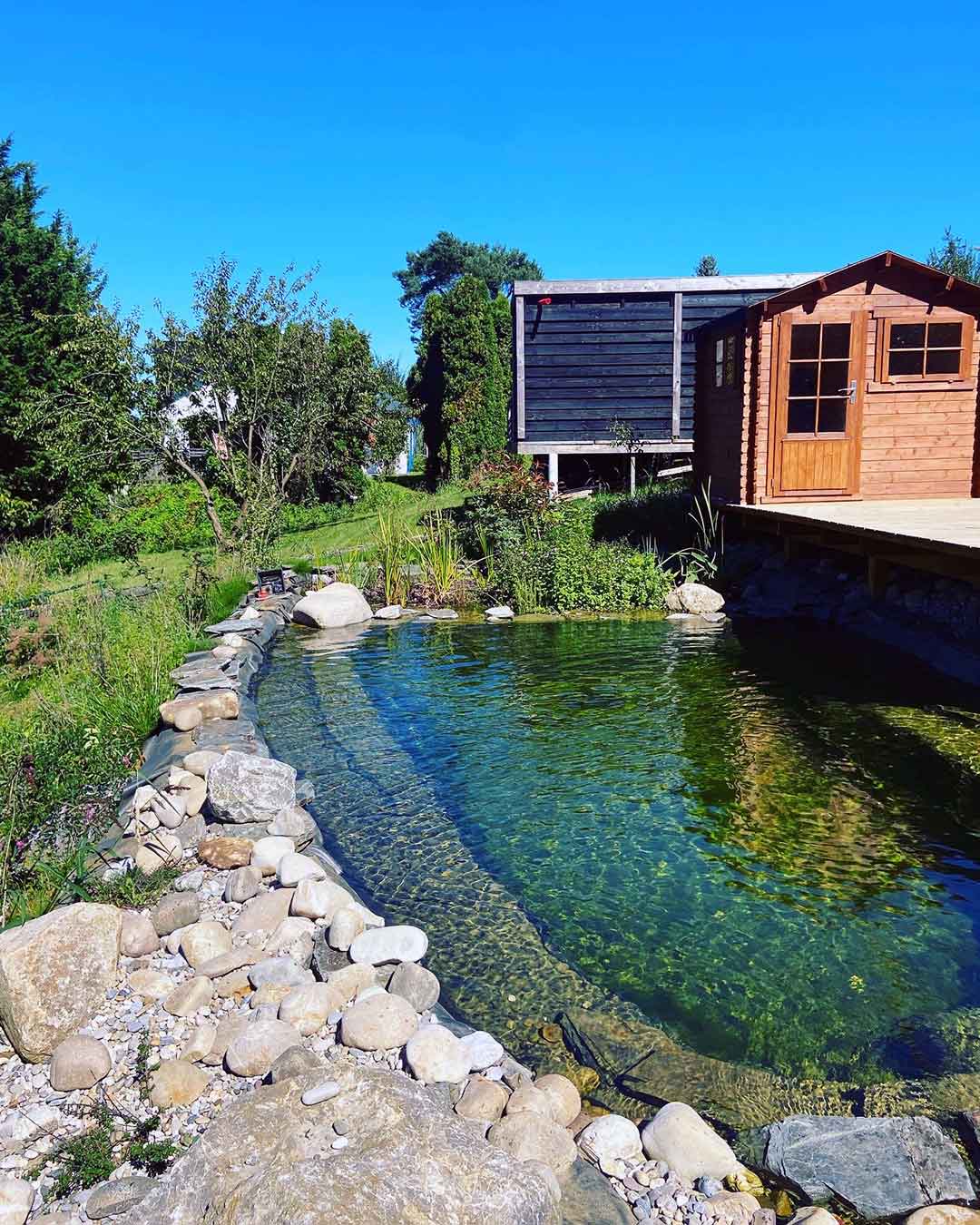 Piscine naturelle bordée de roches et de plantes aquatiques dans un jardin rural