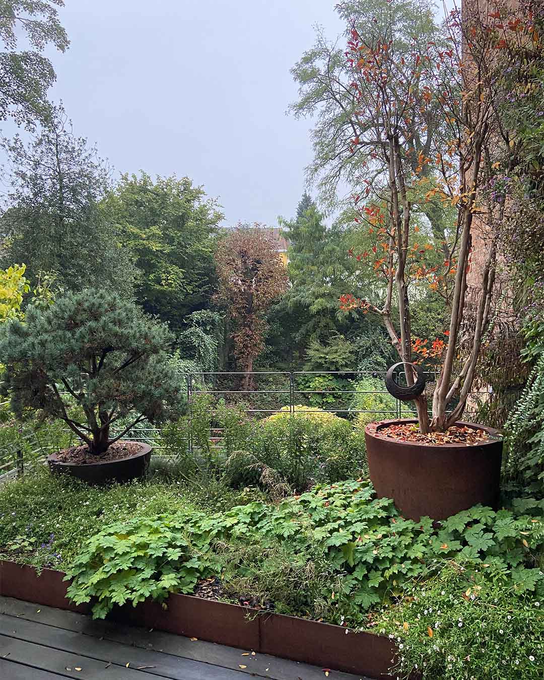 Terrasse verdoyante avec bacs en acier corten et arbustes ornementaux