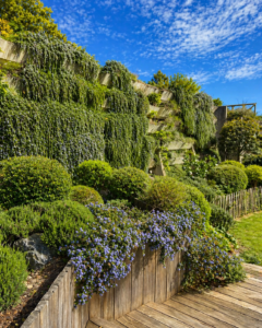 Romarain retombant, céanote, retenue de terre en bois, terrasse bois exotique, échalats de châteigner