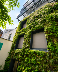 Façade végétale extérieure recouvrant un bâtiment moderne avec plantes retombantes et végétation dense.