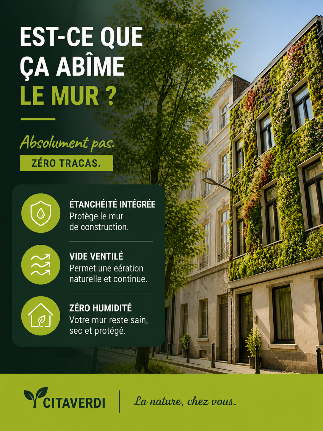 FAQ Est-ce qu'un mur végétal abime le mur de construction? 