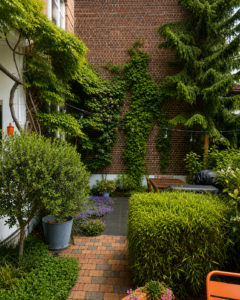 Jardin de ville, plantes grimpantes, bambous taillé en haie, pavage