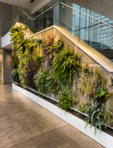 Mur végétal intérieur Butong, sous un escalier vitré dans un hall moderne avec plantes tropicales et fougères suspendues.