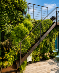 Escalier métallique entouré d’un mur végétal extérieur sur une terrasse contemporaine végétalisée.