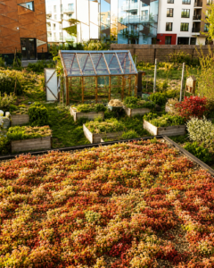 Potager urbain avec serre et toiture végétalisée au cœur d’un ensemble résidentiel moderne.